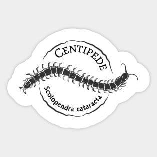 Centipedes (Scolopendra cataracta) Sticker